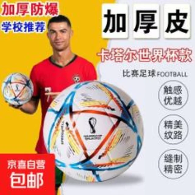 太阳队全力冲刺季后赛附加赛资格